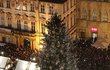 Strom se na Staroměstském náměstí slavnostně rozsvítil 30. listopadu v 16:30.