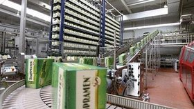 Skupina Pivovary Staropramen loni prodělala necelé tři miliardy korun.