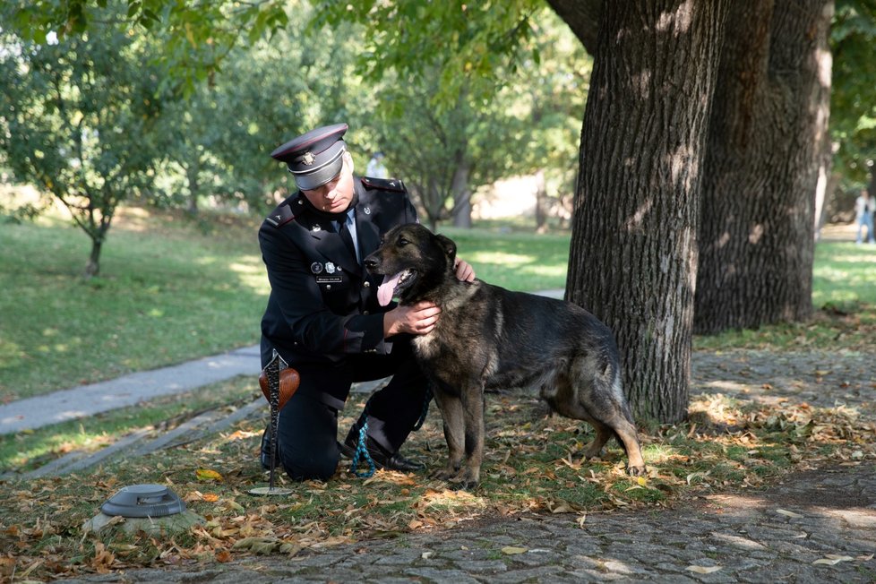 Policejní německý ovčák Noris s psovodem Miroslavem Salavou byli oceněni v kategorii Záchranný čin služebních psů 22. září 2020 v Praze při vyhlášení vítězů ankety Statečné psí srdce za rok 2019.