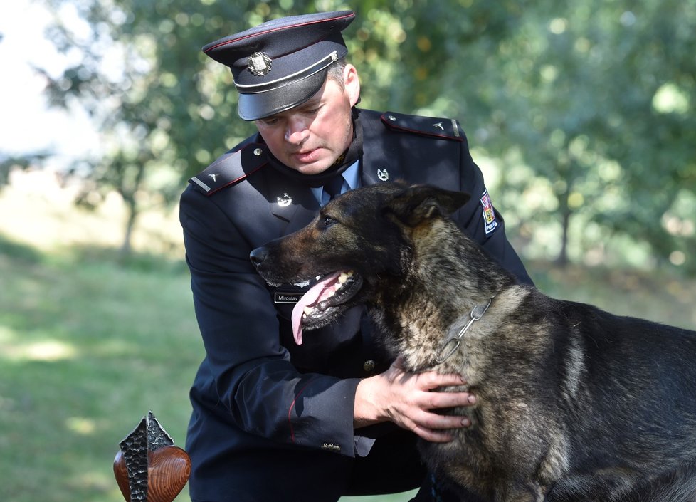 Policejní německý ovčák Noris s psovodem Miroslavem Salavou byli oceněni v kategorii Záchranný čin služebních psů 22. září 2020 v Praze při vyhlášení vítězů ankety Statečné psí srdce za rok 2019.