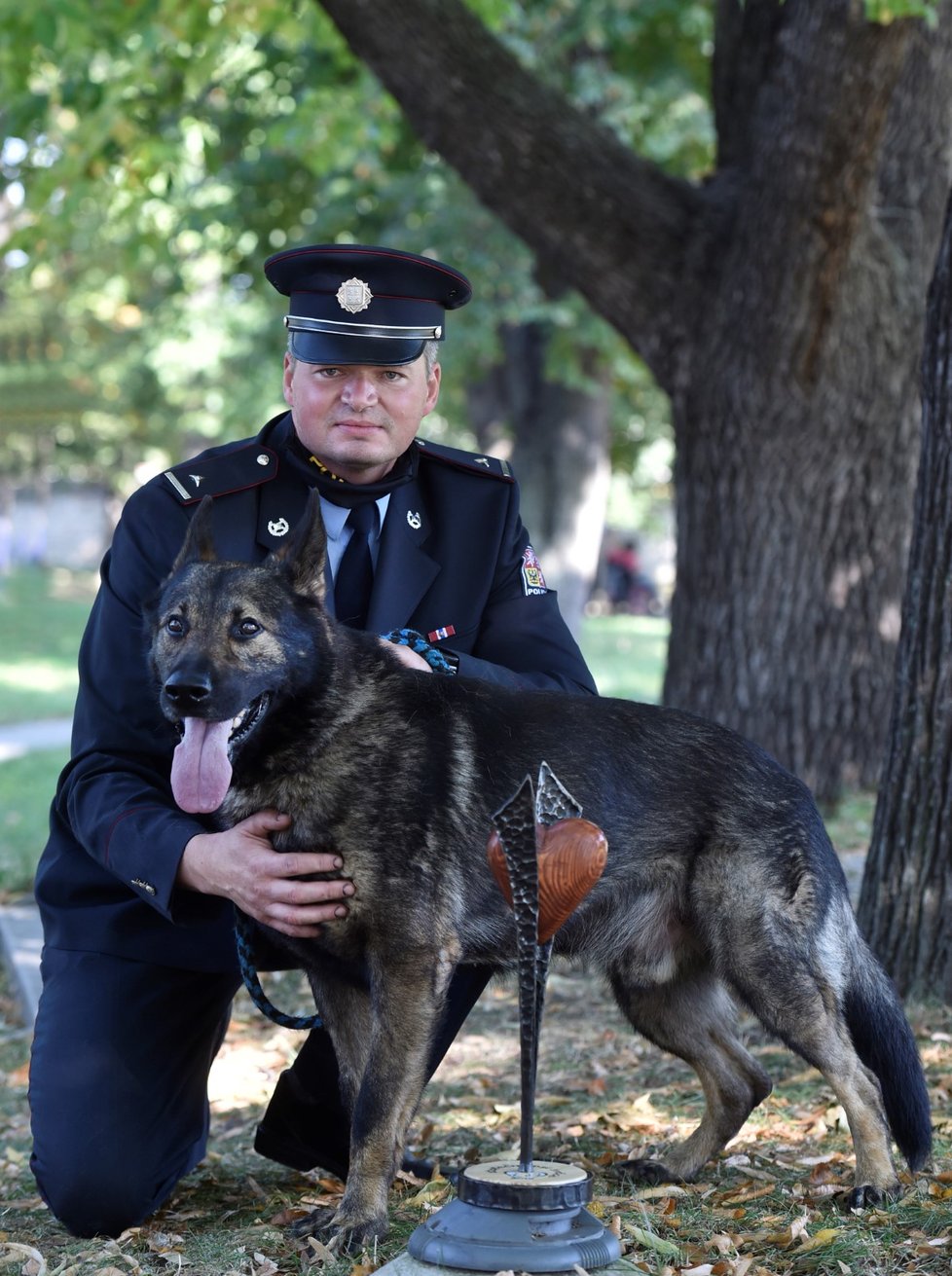 Policejní německý ovčák Noris s psovodem Miroslavem Salavou byli oceněni v kategorii Záchranný čin služebních psů 22. září 2020 v Praze při vyhlášení vítězů ankety Statečné psí srdce za rok 2019.