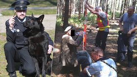 Policejní pátrací pes Gauner zachránil loni v parných letních dnech život starému pánovi, který padl vysílením v lese. Nebýt Gaunera, nepřežil by. V Praze byl za to oceněn cenou za statečnost.