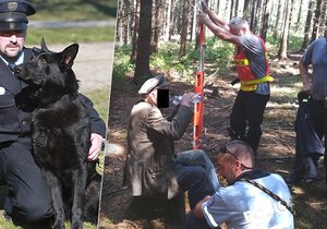 Policejní pátrací pes Gauner zachránil loni v parných letních dnech život starému pánovi, který padl vysílením v lese. Nebýt Gaunera, nepřežil by. V Praze byl za to oceněn cenou za statečnost.