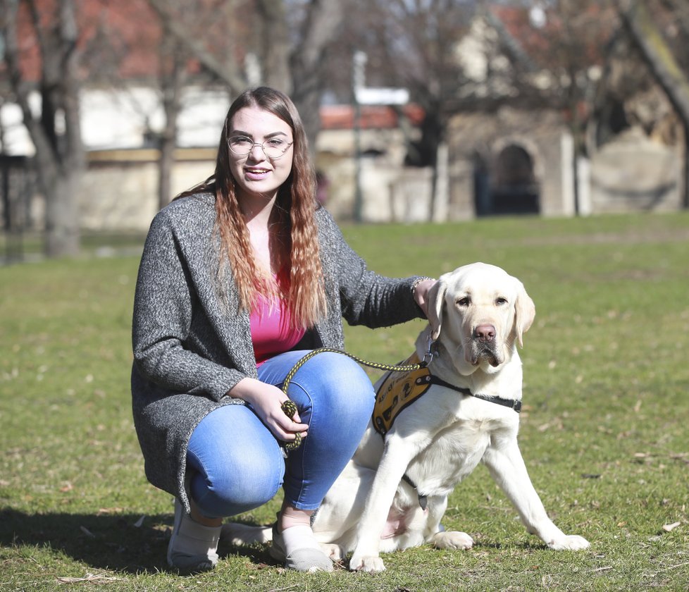 Dalším oceněným pejskem byl labradorský retrívr Dag, který hlídá své paničce Štěpánské Gadowské výkyvy hladiny cukru, protože má cukrovku.