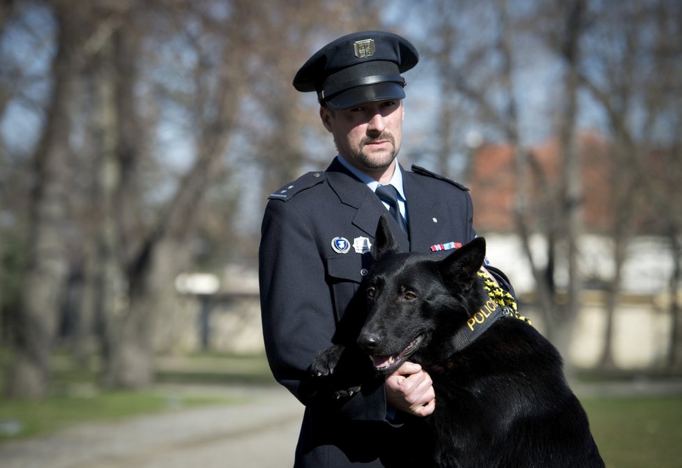 Gauner je velice šikovný a přátelský pes.