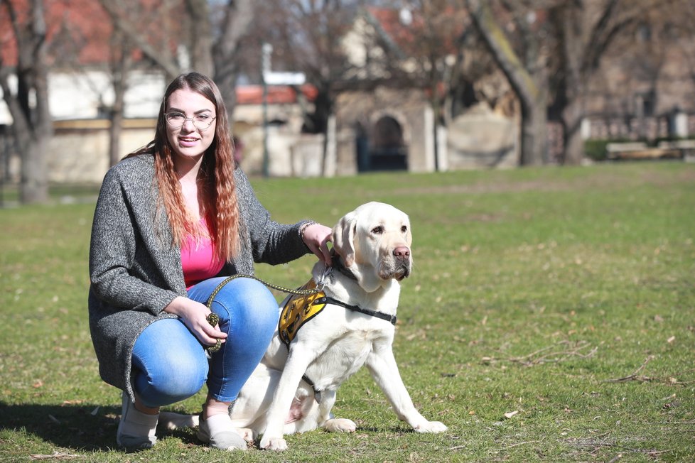 Labrador Dag je schopný u své paničky rozpoznat nebezpečně nízkou nebo vysokou hladinu cukru v krvi. V takovém případě ji na to upozorní, aby si mohla podle potřeby buď píchnout injekci inzulinu, nebo si dát něco sladkého.