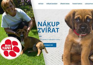 Jak správně koupit psa? Do boje s nevědomostí se pustili i veterináři. Na svém webu radí, jak nenaletět množitelům.