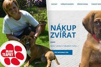 Nekupujte psa na parkovišti: Veterináři jdou do boje proti množírnám s novou „kuchařkou“