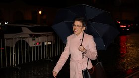Příchody na předávání státních vyznamenání: Olga Richterová (Piráti) (28.10.2026)