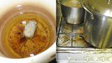 Myš v oleji a plesnivá lednice: Inspekce objevila „nejnechutnější“ hospodu