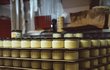Včelí farmy Vostoupalových prestižní ocenění Regionální potravina Jihočeského kraje