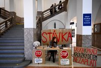 „Láska k práci kroužky dětem nezaplatí.“ Akademici z Karlovy univerzity stávkují kvůli nízkým mzdám