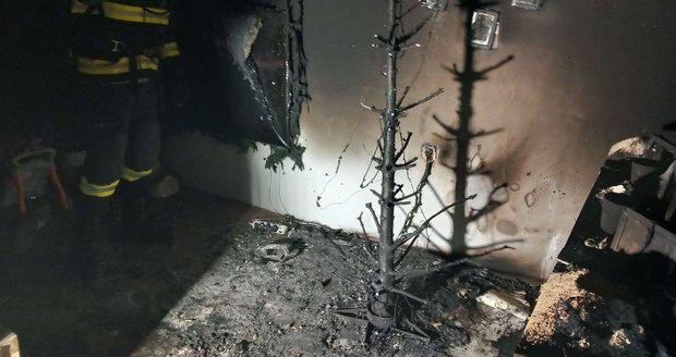 V Moravanech u Kyjova a v Brně shořely na Štědrý den dva vánoční stromky. Vzplály od prskavek. V Moravanech u Kyjova a v Brně shořely na Štědrý den dva vánoční stromky. Vzplály od prskavek.