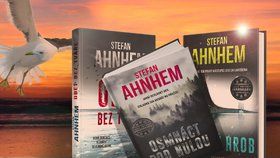 Recenze: Letní čtení okoření nový hrdina temné švédské krimi z pera Stefana Ahnhema