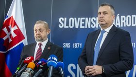 Andrej Danko odstoupil z prezidentského klání, podpořil Štefana Harabina