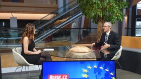 Slovenský europoslanec Ivan Štefanec v rozhovoru pro Blesk Zprávy ve Štrasburku. Kvůli Kuciakovi a jeho odhalením by měl Fico skončit