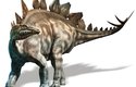 Býložravý Stegosaurus měřilaž9mavážil přes 4 tuny