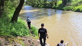 Čtyřletá Stela spadla ve Stropkově do řeky, policie ji našla po několika dnech mrtvou.