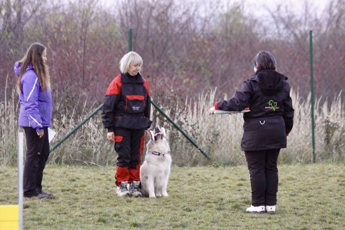 Stellina cvičitelka Zuzana Daušová se fence věnuje naplno