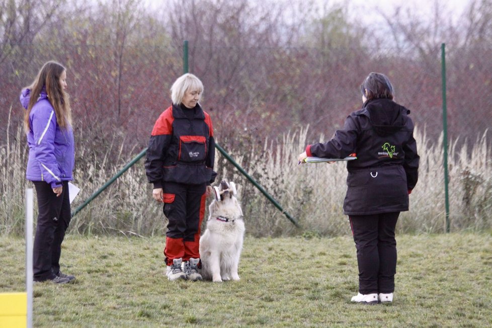 Stellina cvičitelka Zuzana Daušová se fence věnuje naplno