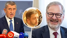 Ve sněmovních volbách by podle průzkumu triumfovalo ANO. Před ODS i STAN má výrazný náskok