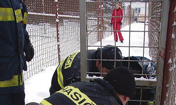 Štěně vyprostili až hasiči. Při zásahu dokonce psa podložili polštářem.