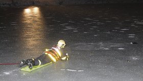 Hasič se během riskantní záchrany plazil po ledu tenkém pouhých pět centimetrů. Štěňata ležela bezvládně daleko od břehu.