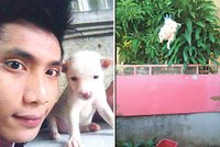 Zvrhlý Filipínec pověsil štěně na šňůru