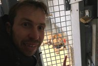 Štěpánek pokřtí lvíčka z brněnské zoo: Lvice Kivu na něj zařvala, že si skoro »řízl do trenek«