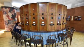 Jediný dosud provozuschopný přístroj na skupinové prohlížení stereodiapozitivů má Technické muzeum Brno.