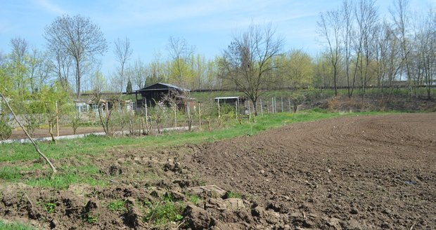 Novorozeně pohozené v poli někdo zavraždil: Policie hledá matku