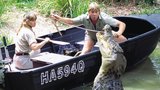 Před 6 lety zemřel lovec krokodýlů Steve Irwin: Připomeňte si jeho nejšílenější kousky!