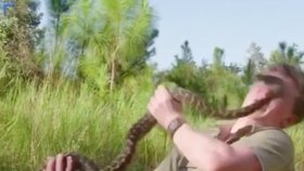Při natáčení kousl Roberta had do obličeje stejně jako jeho tátu Stevea.