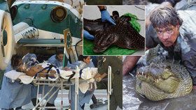 Je to deset let od smrti lovce krokodýlů Stevena Irwina. Australský dobrodruh zemřel poté, co na něj zaútočil rejnok.