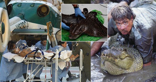 Před 10 lety zemřel lovec krokodýlů! Dobrodruha Steva Irwina probodl rejnok