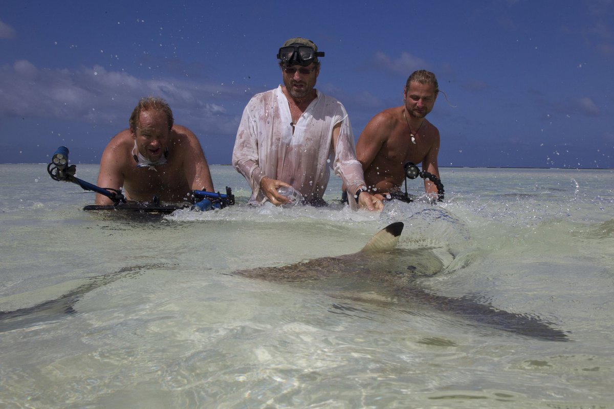 Steve Lichtag (uprostřed) při natáčení na ostrově Aldabra.