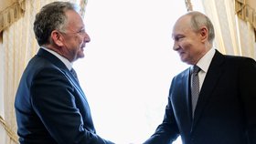 Ruský prezident Vladimir Putin (vpravo) si podává ruku se zvláštním vyslancem amerického prezidenta Donalda Trumpa Stevem Witkoffem před zahájením jednání v Konstantinovském paláci ve Strelně nedaleko Petrohradu v Rusku (21. 10. 2026).