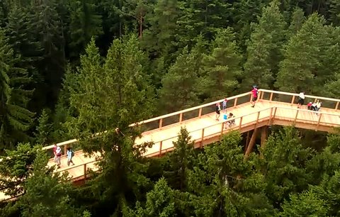 Vzhůru do korun stromů! Na Lipno se díky nové stezce můžete dívat z nebe