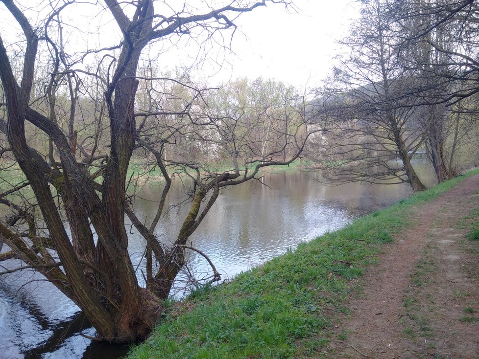 Malebné pěšince vedoucí lesem z Komína do Bystrce se ještě nedávno přezdívalo „stezka odvahy“.