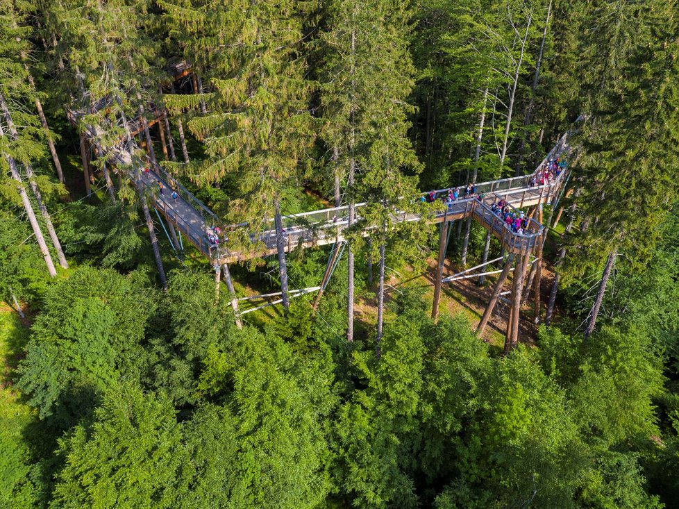 Stezka korunami stromů, Krkonoše