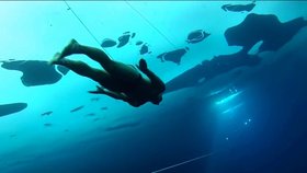 Pod vodou na jeden nádech uplave přes 150 metrů