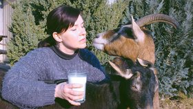 Princezna (vlevo) a Kozena dávají každý den Ivaně čerstvé zdravé a dietní mléko