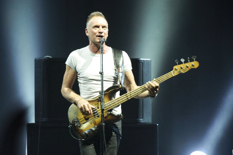 Britský zpěvák Sting