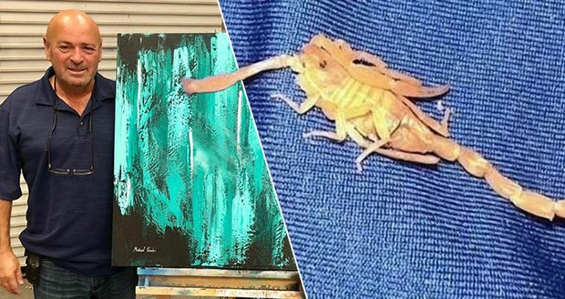 Drsné probuzení v luxusním hotelu: Nešťastníka bodnul štír do varlat!