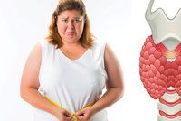 Endokrinoložka Zdenka Límanová vyvrací mýty o tloustnutí: Mám špatnou štítnou žlázu