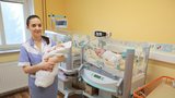 Stodská porodnice končí! Chybějí pediatři, špitál je sháněl marně