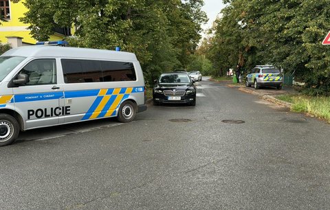 Ostatky ze Stodůlek patří zavražděnému čínskému páru, potvrdila policie. Pachatel je po smrti