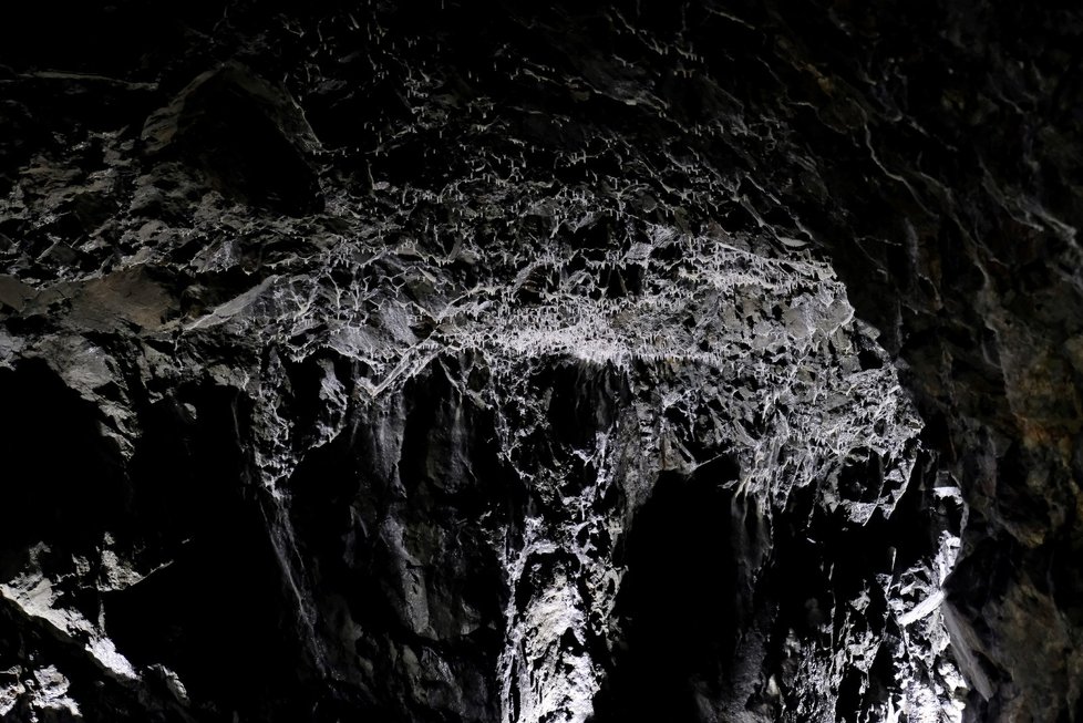 Podzemními štolami v kuřimském kopci Záruba povede prohlídkový okruh. Lidé se podívají do podzemí po sedmdesáti letech.
