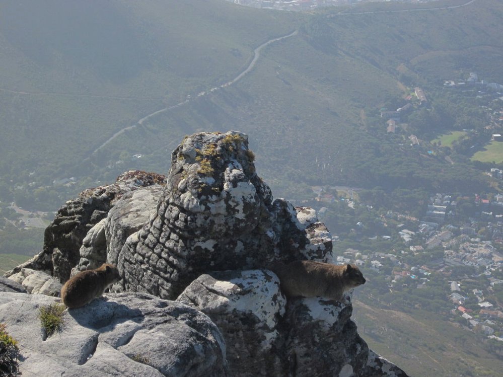 Stolová hora v Kapském městě