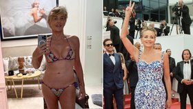 Lady bikiny Sharon Stoneová (64) je v neskutečné formě! Co jí vzkázala Pavlína Pořízková (57)? 